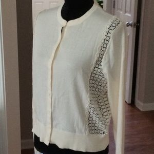 ANN TAYLOR LOFT Cream Cardigan Sweater